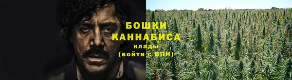 гидра Алзамай