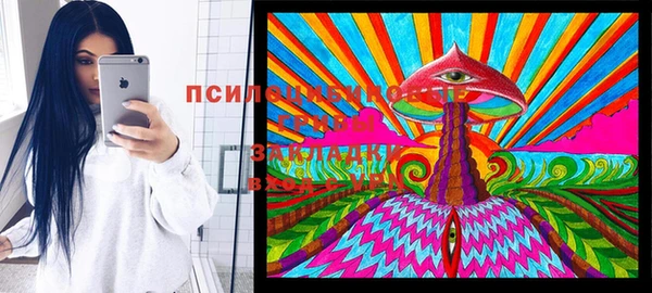 стаф Абаза