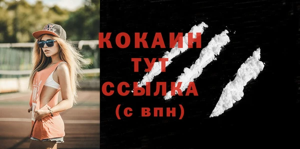 тгк Алексин