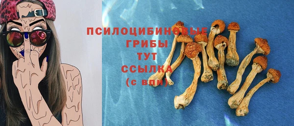 тгк Алексин