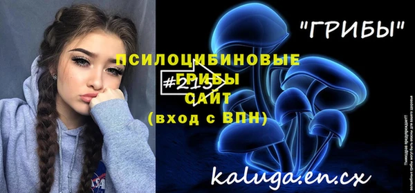 дурь Алексеевка