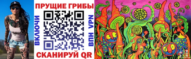 Псилоцибиновые грибы Cubensis  Черногорск 