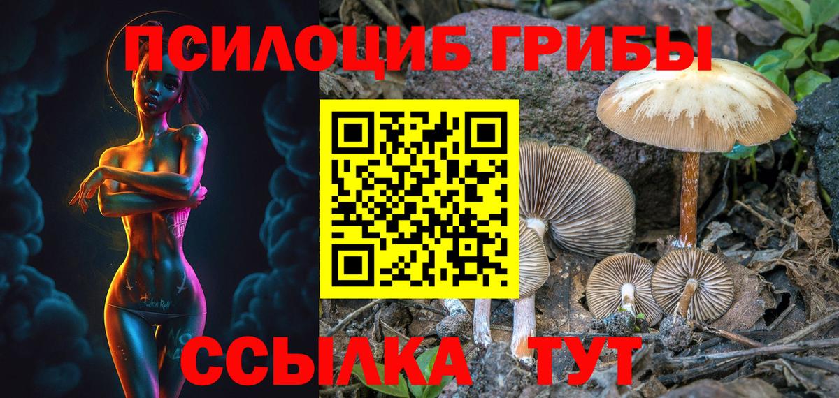 Черногорск  Псилоцибиновые грибы GOLDEN TEACHER  как найти закладки  Вход с VPN 